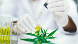 The Importance of Third-Party Lab Testing for Cannabis Products