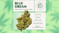 Strain Review: Blue Dream