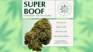 Strain Review: Super Boof