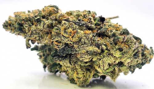 Premium THCA HEMP FLOWER Goji