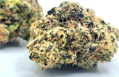 House THCA HEMP FLOWER Purple Haze, 7g