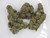 Top Shelf THCA HEMP FLOWER Sherb Cake, 3.5g