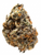 House THCA HEMP FLOWER Candy Runtz, 1oz