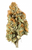 House THCA HEMP FLOWER Runtz 'n Laterz, 1oz