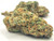 Top Shelf THCA HEMP FLOWER 93 Octane, 3.5g