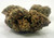 House THCA HEMP FLOWER Side Show, 1oz