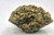 House THCA HEMP FLOWER Peanut Butter Breath, 1oz