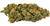 Premium Ounce THCA Flower Subscription