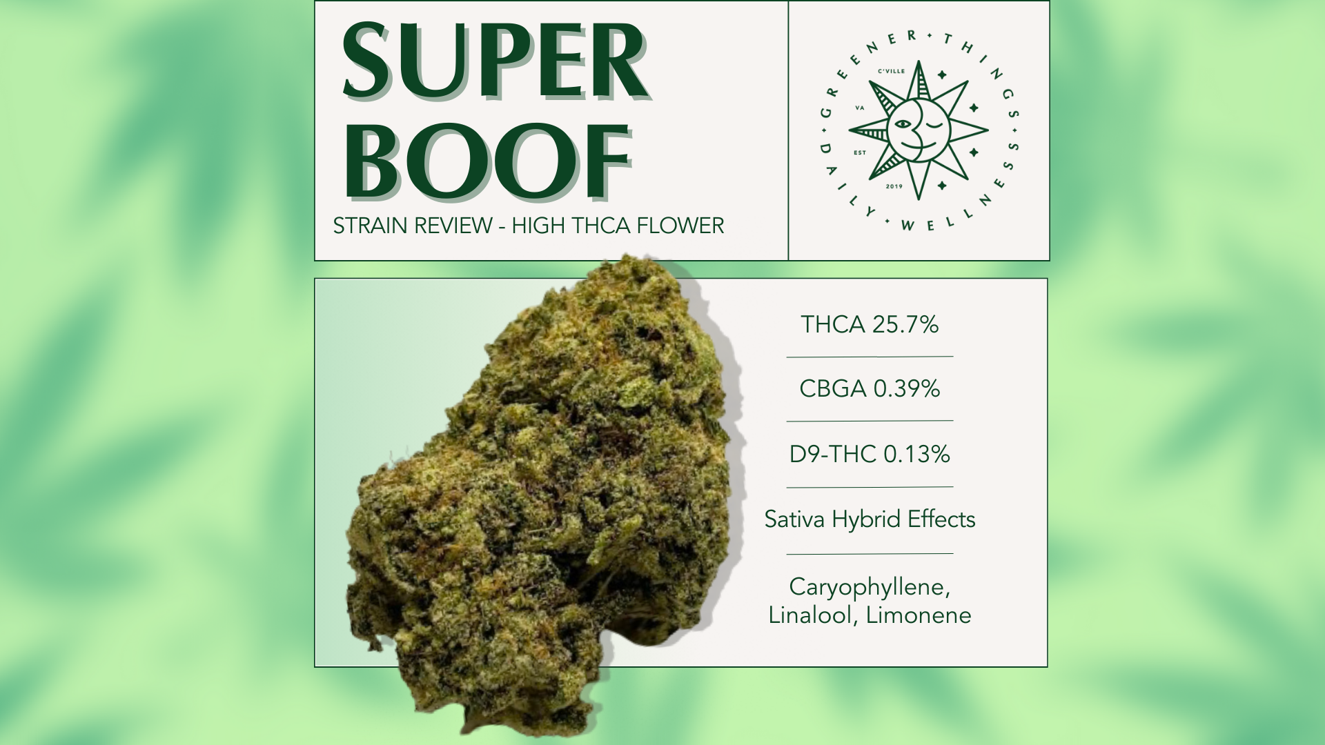 Strain Review Super Boof Greener Things Dispensary strain-review-super-boof-greener-things-dispensary