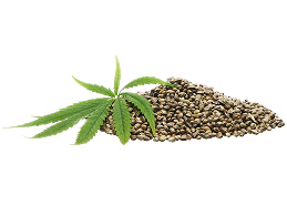 Seeds
