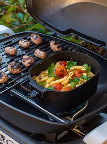 weber q1000n