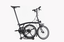Z-Line No Variants