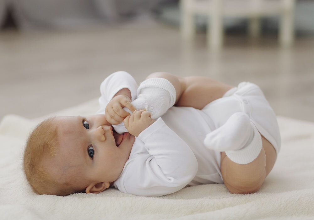 Calculadora de percentiles en Farmacia Porta de la mar en Valencia