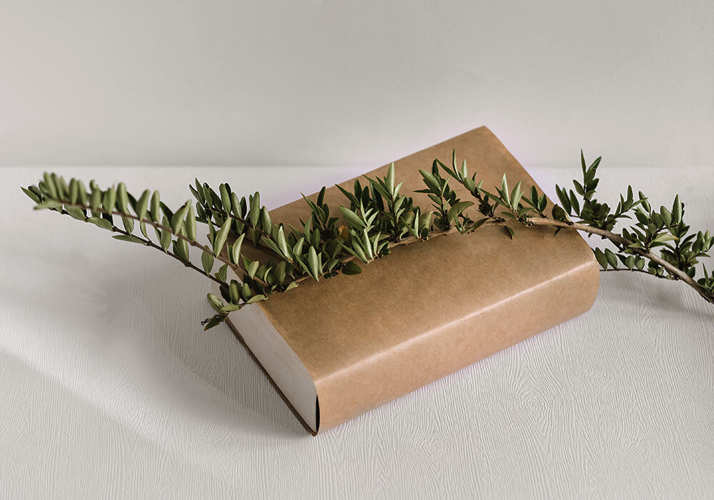 Diccionario de nombres en Farmacia Porta de la mar en Valencia