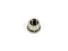 S/S 12pt. Nut - 1/4-20 (1)