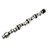 Pontiac V8 Hyd Roller Camshaft Thumpr Series