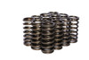 .960 Dia. Inner Valve Springs - .700 ID.