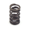 1.250 Valve Springs 8pk Dual