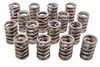 1.262 in Valve Springs - SBC