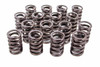 1.460in Valve Springs - BBF