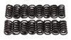 1.150 Valve Springs 16pk E-Street Heads