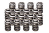 1.500in Valve Springs - BBC