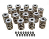 1.500in Valve Springs - BBC