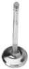 Exhaust Valve - 1.600in