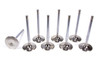 BBC H/P 2.250 Intake Valves