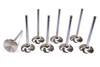 Acura C/6 33mm Intake Valves