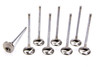 Acura C/6 28mm Exhaust Valves