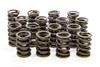 Dual Valve Springs w/Damper - LS1