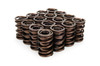 1.570 Dual Valve Springs