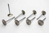 SBC P/F 2.020in Intake Valves - LS1