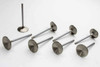 SBM R/M 2.020in Intake Valves