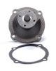 BBM Water Pump Iron w/Natural Finish