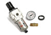 Pumping Station Regulator/Filter
