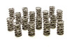 Dual Valve Springs - (16) GM LS