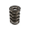 1.550 Dual Valve Springs - (16)