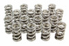 1.274 Dual Valve Springs - (16) GM LS