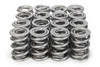 1.570 Dual Valve Springs 1300 Series C/T