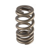 1.250 Valve Springs -1pk Ovate Beehive