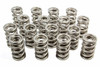 1.514 Nitrided Dual Valve Springs