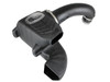 Momentum GT Cold Air Int ake System w/ Pro DRY S
