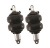 Shockwave Shocks Pair