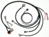 SmartSpark LS2/LS7 Remote Mnt Wire Harness