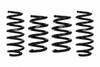 PROKIT 20-22 TESLA MODEL Y PERF SPRINGS SET OF 4