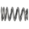 Beehive Valve Spring Set 1219X