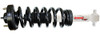 RS5000X Loaded Strut Assembly
