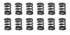 Valve Spring Set